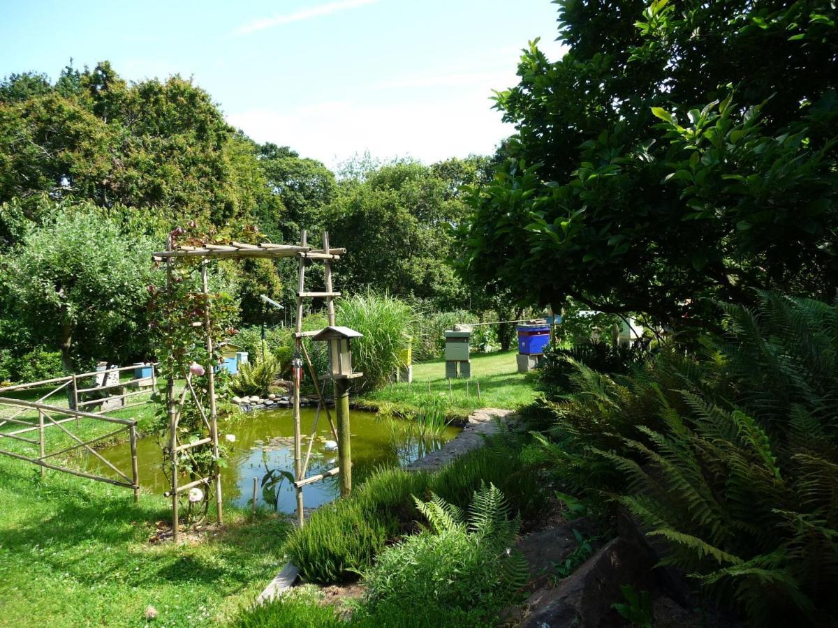 La Miellerie Bed and Breakfast Lannion Εξωτερικό φωτογραφία